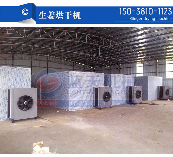 生姜烘干機