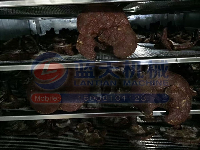 青海熱泵烘干機(jī)用戶(hù)現(xiàn)場(chǎng)