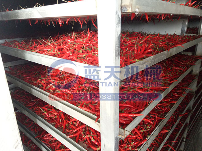 河南辣椒烘干機(jī)用戶現(xiàn)場