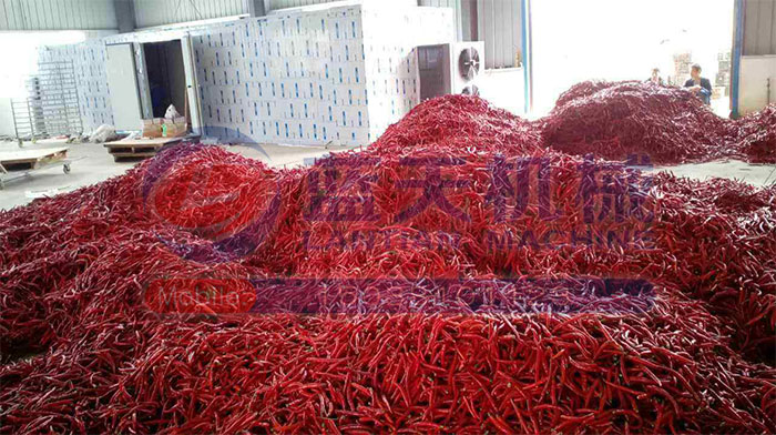 大型食品烘干機(jī)試機(jī)現(xiàn)場(chǎng)