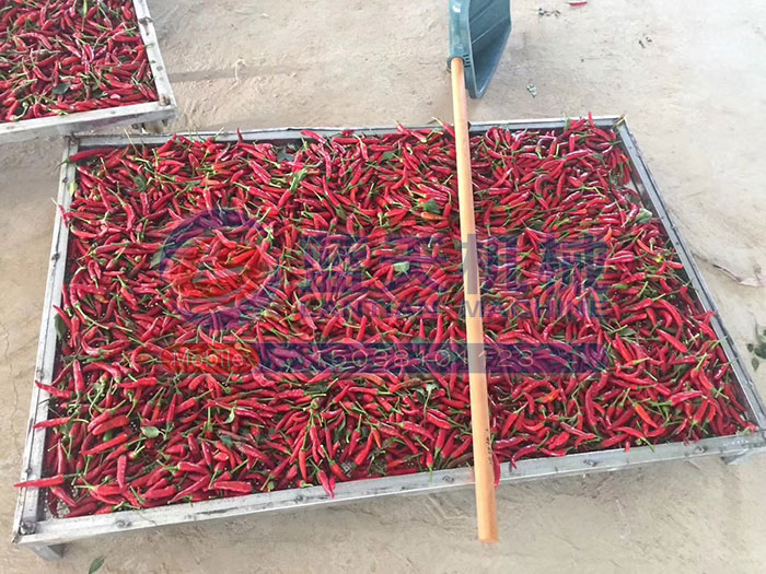 大型食品烘干機(jī)試機(jī)現(xiàn)場(chǎng)