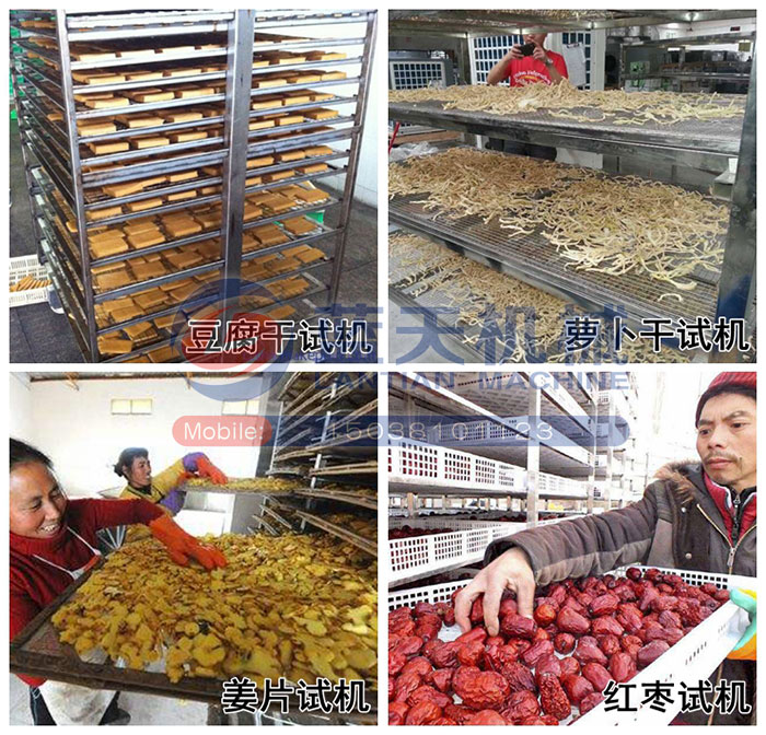 豆腐干烘干機(jī)試機(jī)現(xiàn)場(chǎng)
